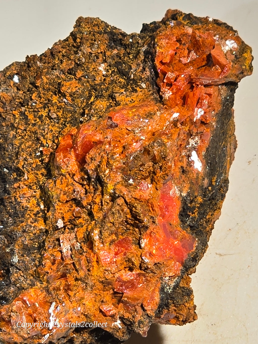 CROCOITE (SMALL CABINET),  RED LEAD MINE, TASMANIA