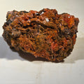 CROCOITE (MINIATURE), MINE DE PLOMB ROUGE, TASMANIE