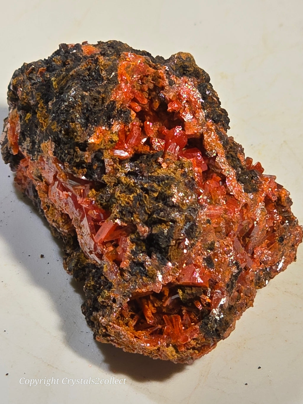 CROCOITE (MINIATURE),  RED LEAD MINE, TASMANIA