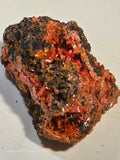 CROCOITE (MINIATURE),  RED LEAD MINE, TASMANIA