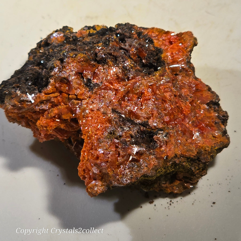 CROCOITE (MINIATURE), RED LEAD MINE, TASMANIA