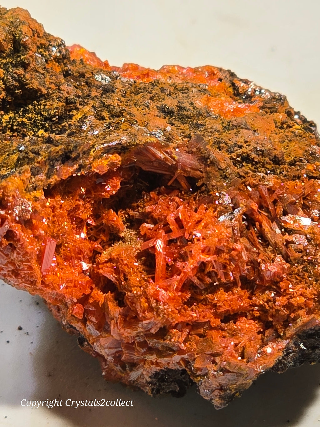 CROCOITE (MINIATURE), RED LEAD MINE, TASMANIA