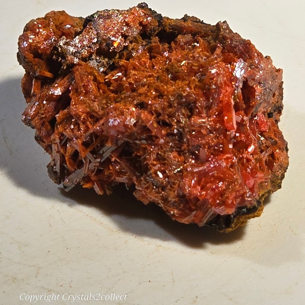 CROCOITE (LARGE THUMBNAIL)