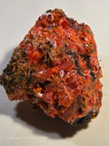CROCOITE (MINIATURE),  RED LEAD MINE, TASMANIA