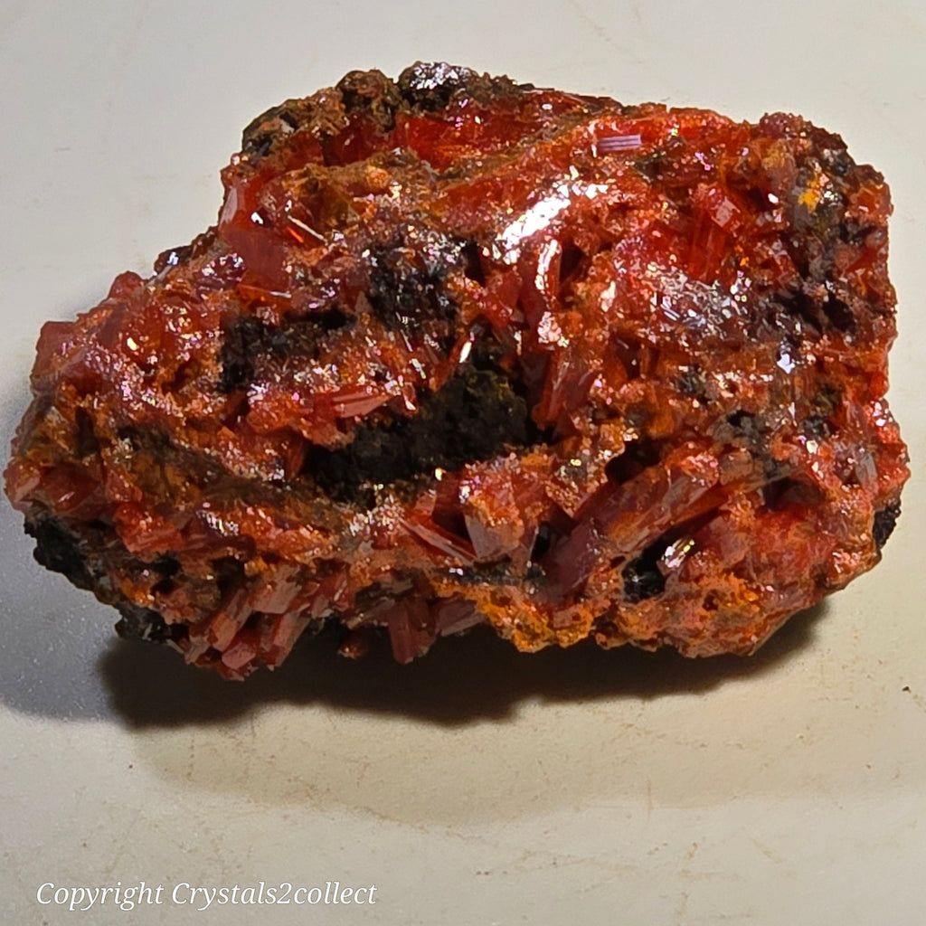 CROCOITE (MINIATURE),  RED LEAD MINE, TASMANIA