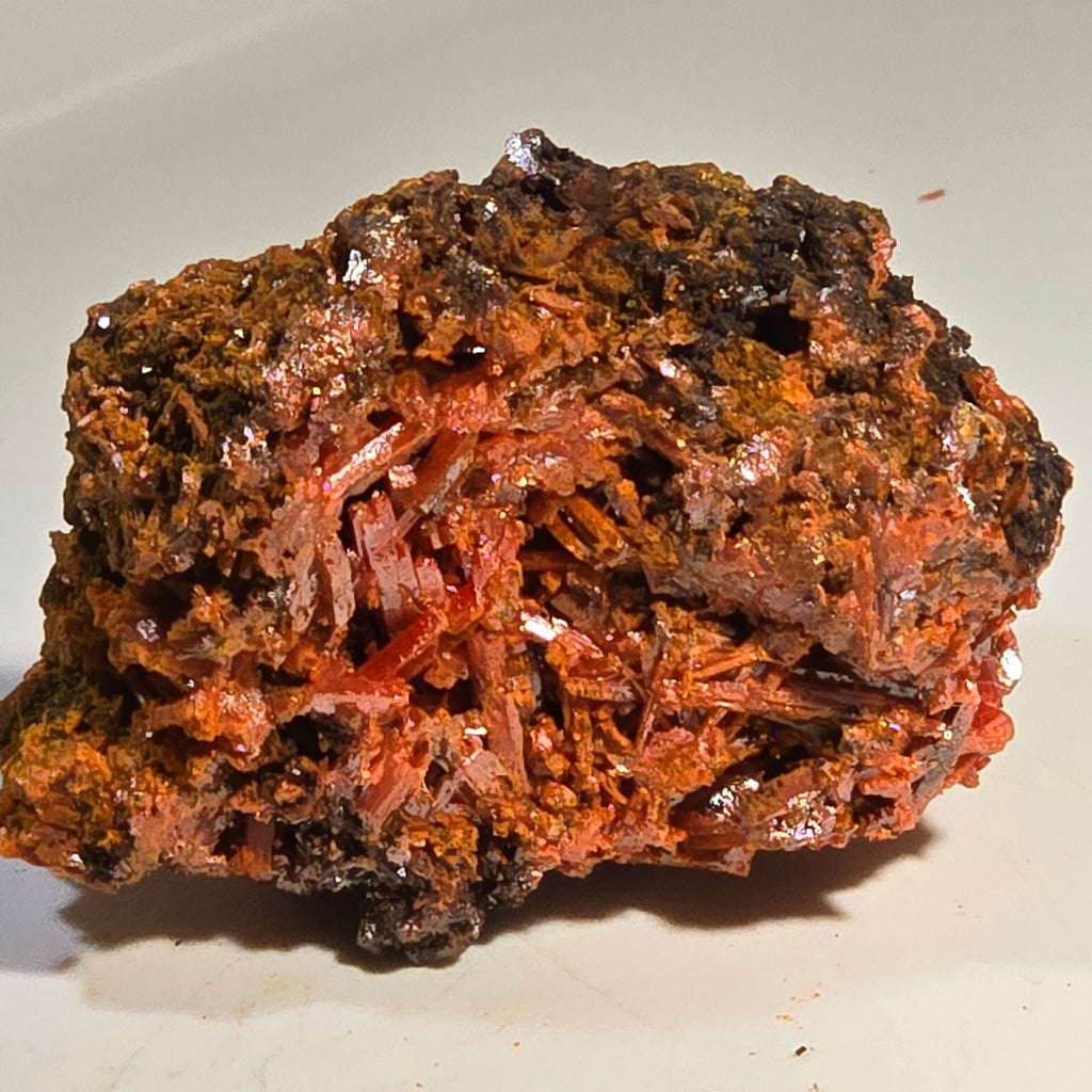 CROCOITE (MINIATURE),  RED LEAD MINE, TASMANIA