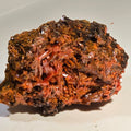 CROCOITE (MINIATURE),  RED LEAD MINE, TASMANIA