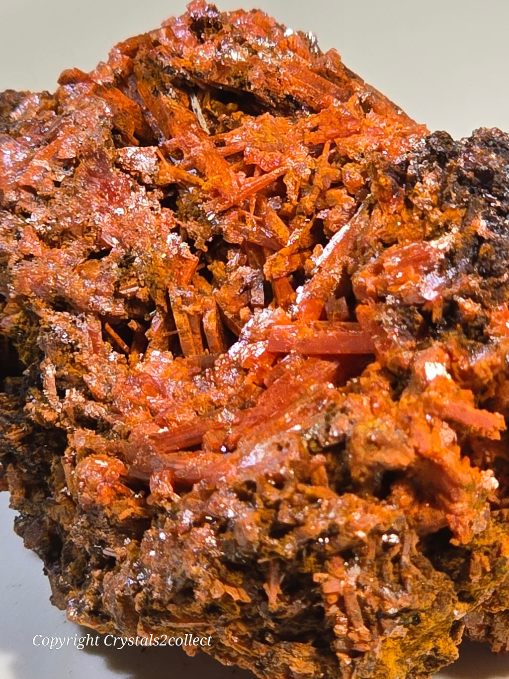 CROCOITE (MINIATURE),  RED LEAD MINE, TASMANIA