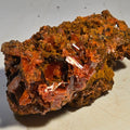 CROCOITE (MINIATURE),  RED LEAD MINE, TASMANIA