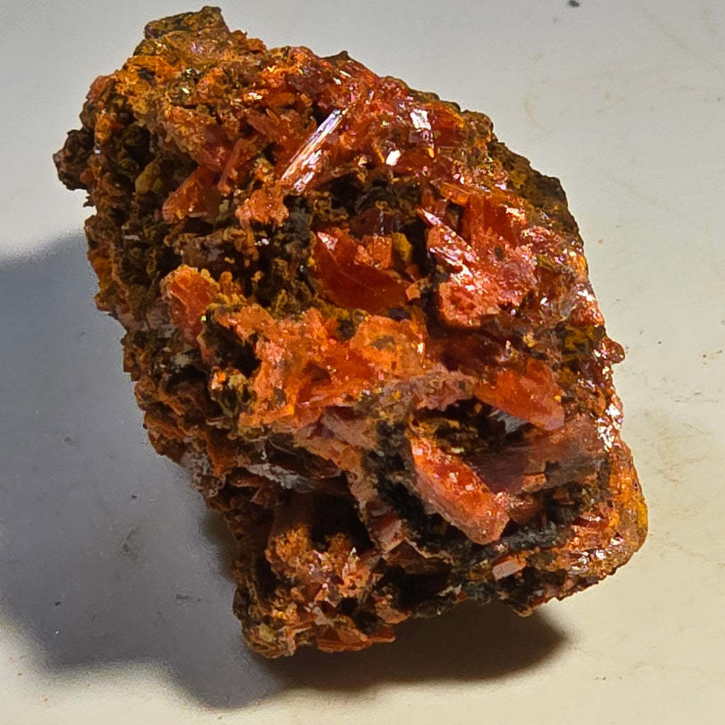 CROCOITE (MINIATURE),  RED LEAD MINE, TASMANIA