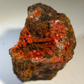 Crocoidite mineral specimen with vibrant red crystals on dark matrix, rare collector's piece