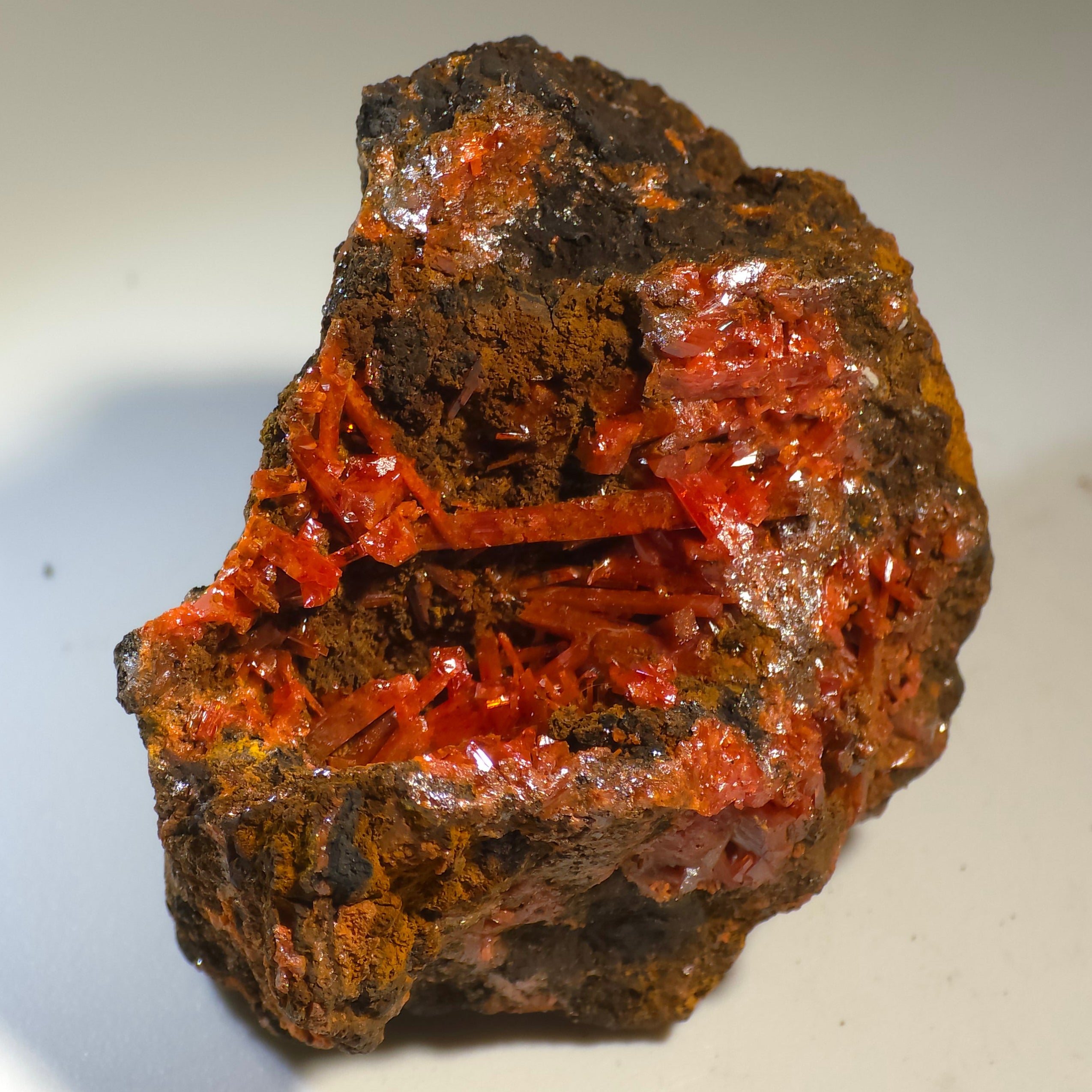 CROCOITE (large miniature)