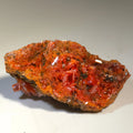 Crocoidite mineral specimen with vibrant red crystals on matrix, classic locality specimen for collectors
