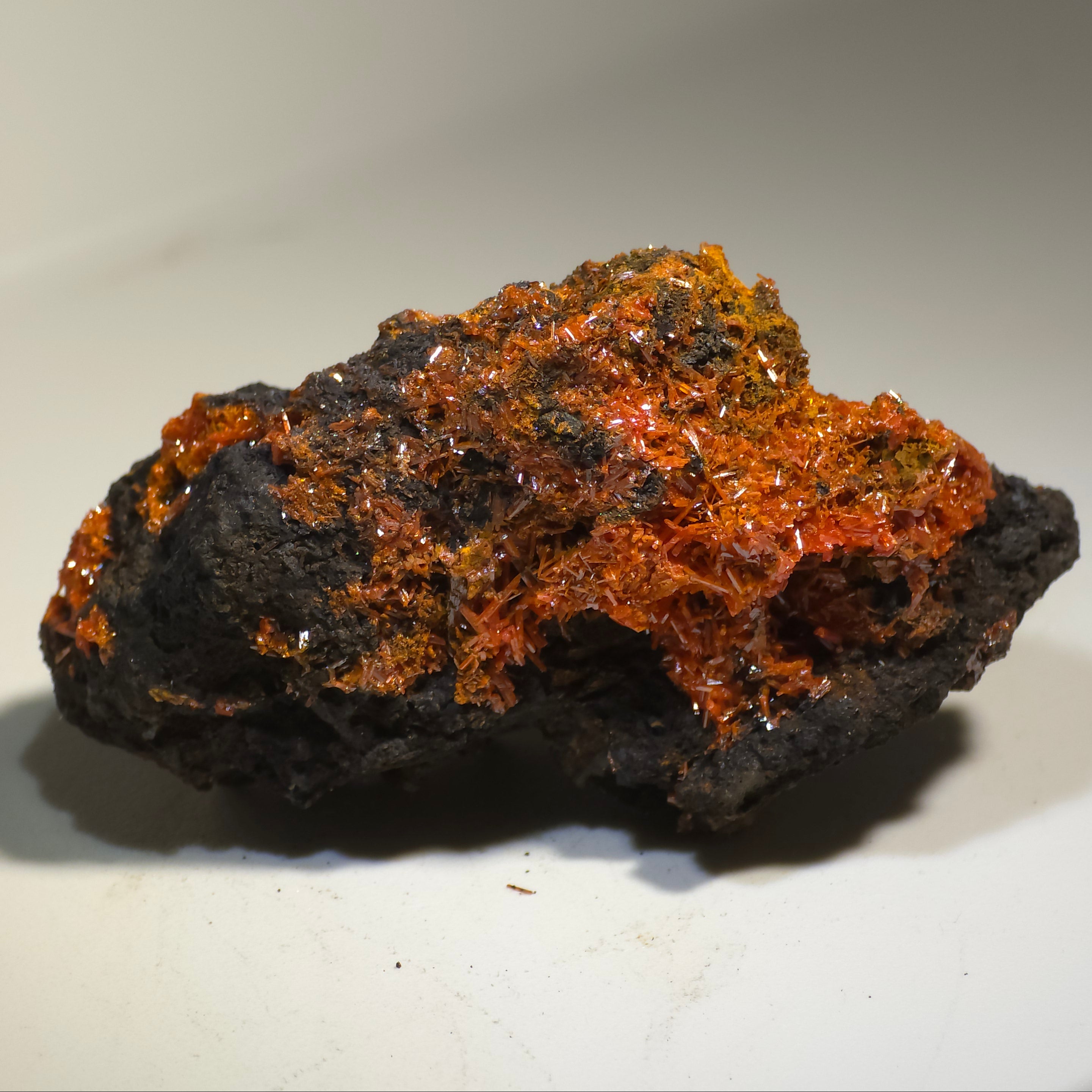 CROCOITE (large miniature)