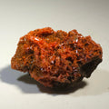 Crocoidite mineral specimen with vibrant red-orange crystals on dark matrix, fine collector's piece