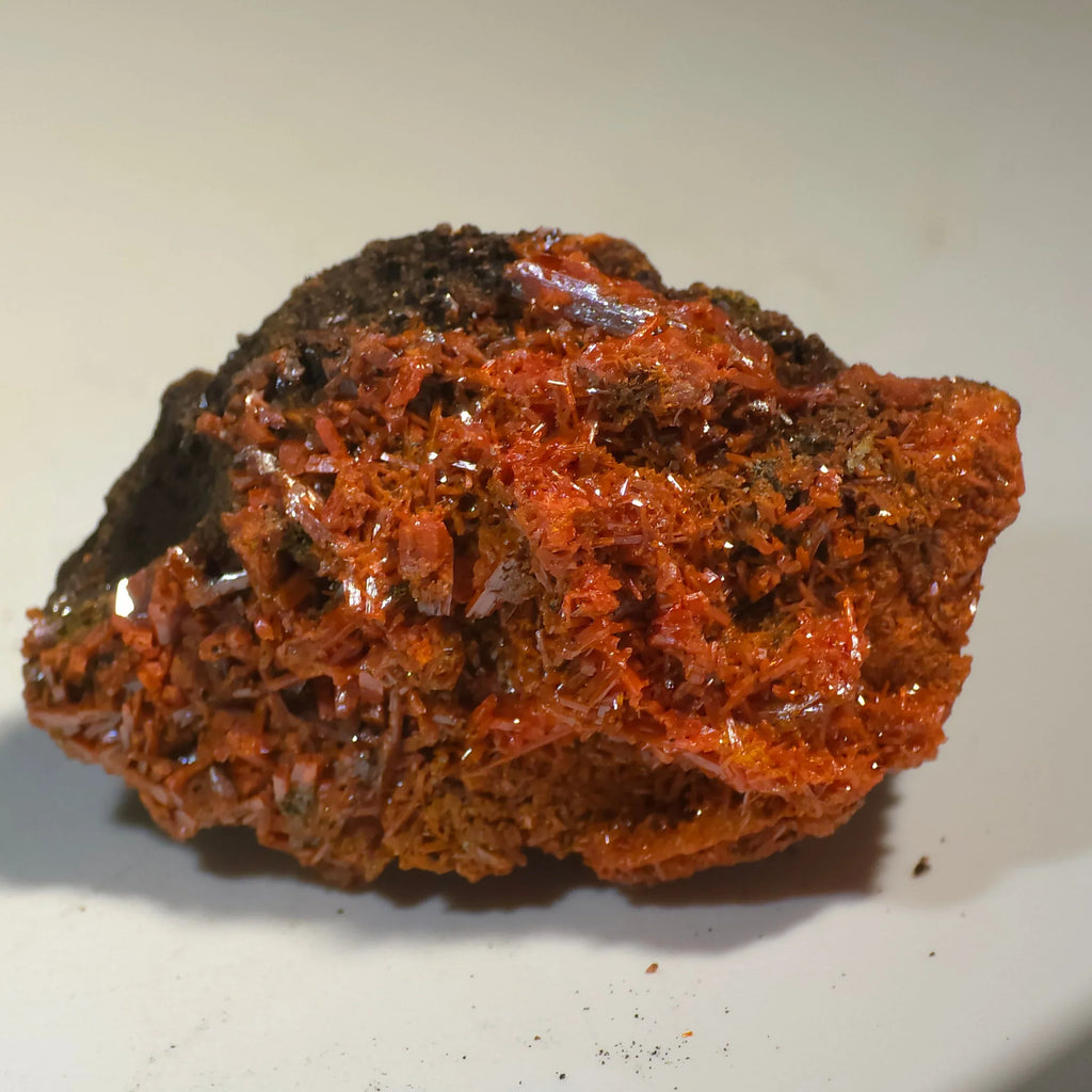Crocoidite mineral specimen with vibrant red-orange needle-like crystals on dark matrix, ideal for collectors