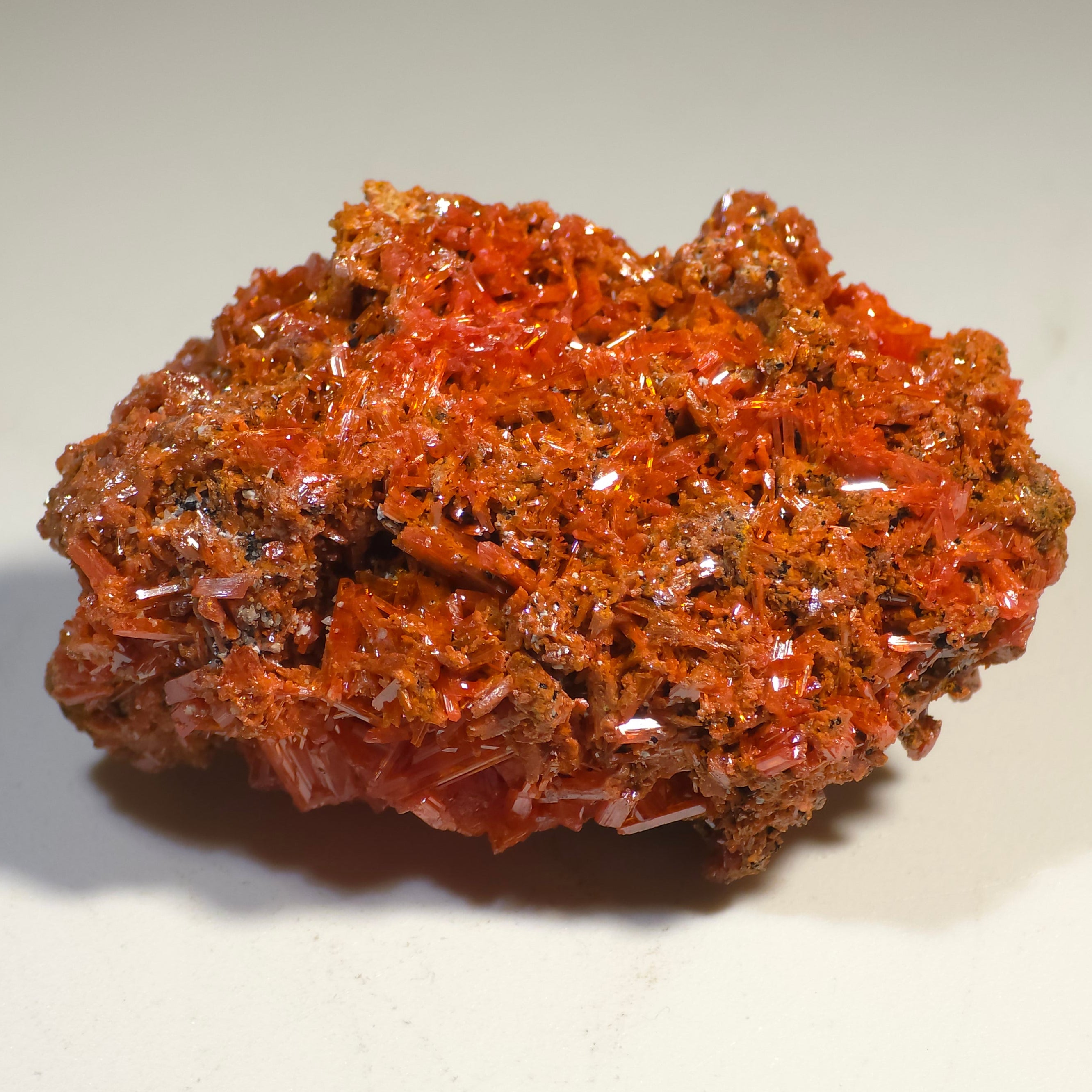 CROCOITE (miniature), RED LEAD MINE Dundas Zeehan District TASMANIA AUSTRALIA
