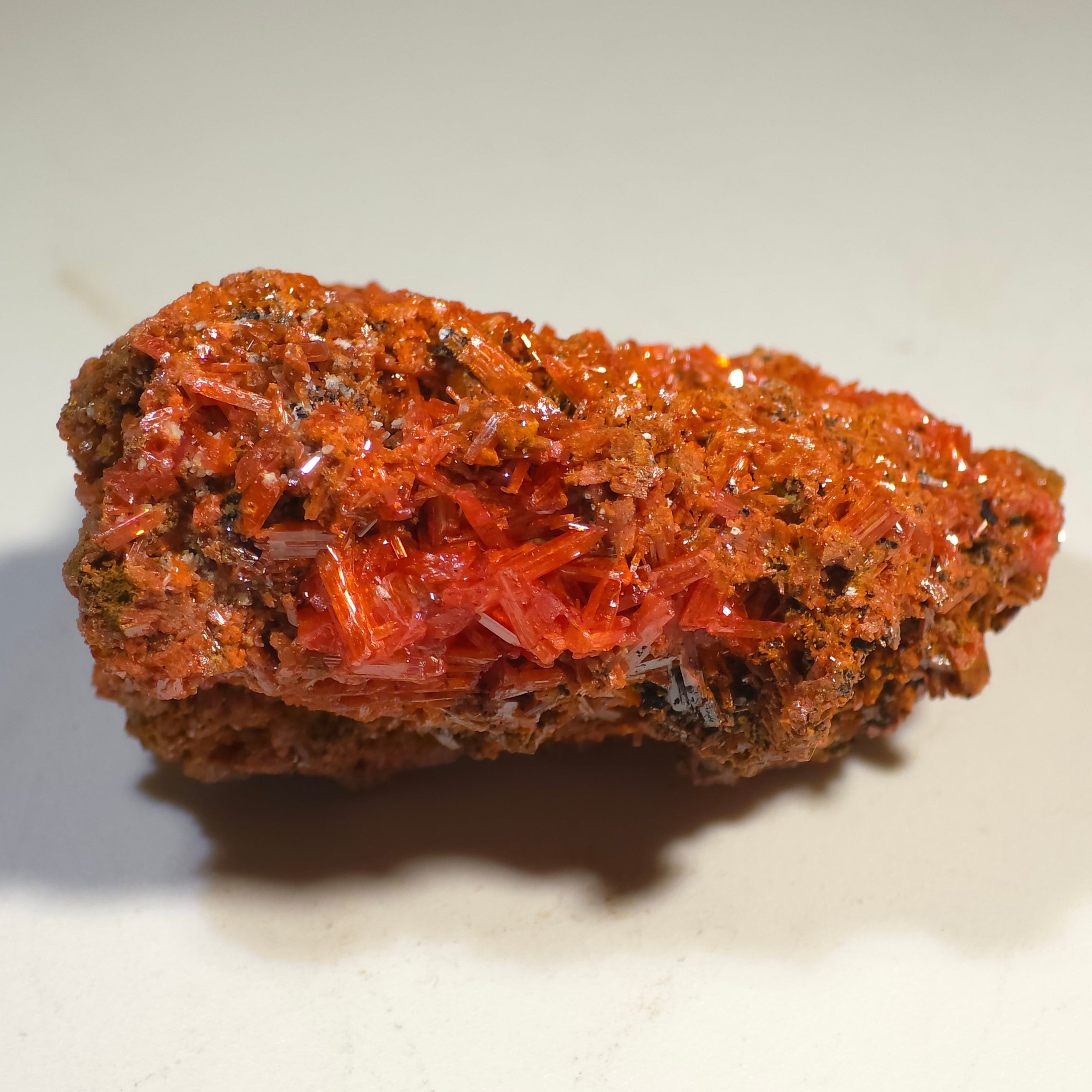 CROCOITE (miniature), RED LEAD MINE Dundas Zeehan District TASMANIA AUSTRALIA