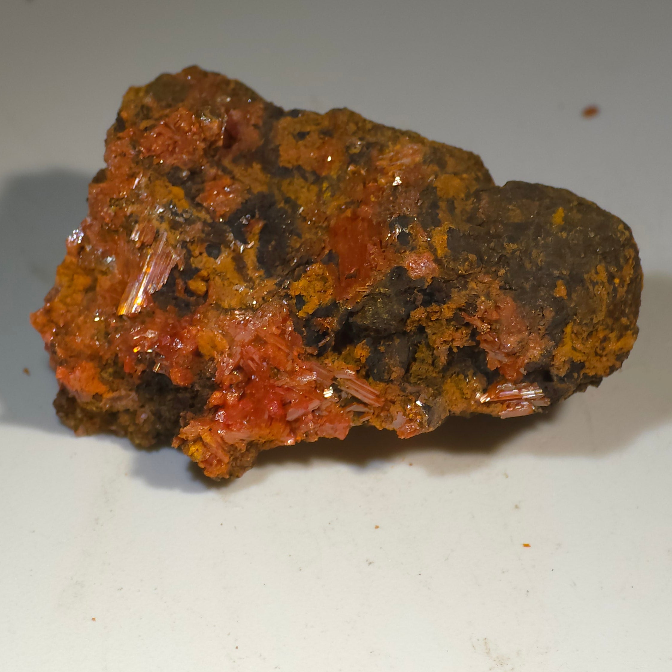 CROCOITE (miniature), RED LEAD MINE Dundas Zeehan District TASMANIA AUSTRALIA