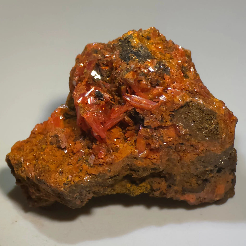 Crocoite mineral specimen with vibrant red crystals on matrix, classic Tasmania locality