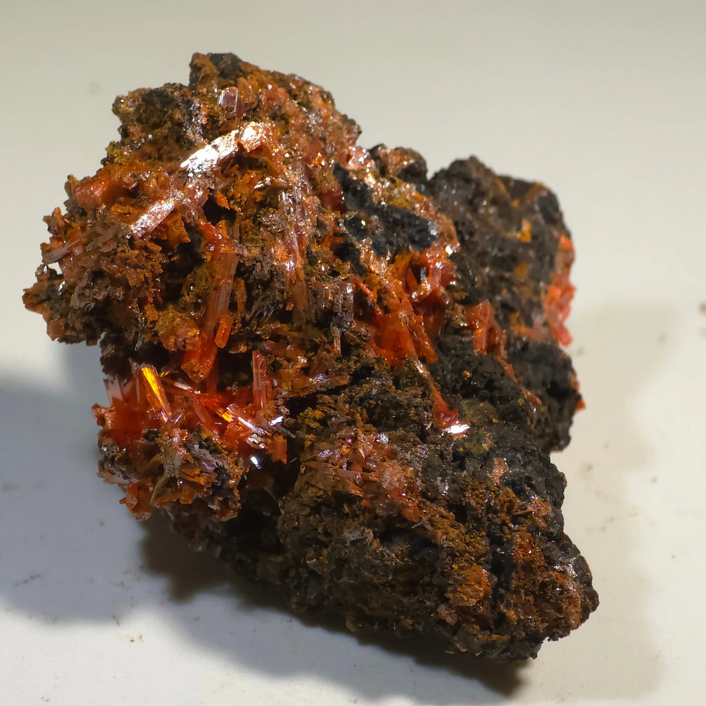 Crocoidite mineral specimen with vibrant orange-red crystals on dark matrix, classic locality specimen