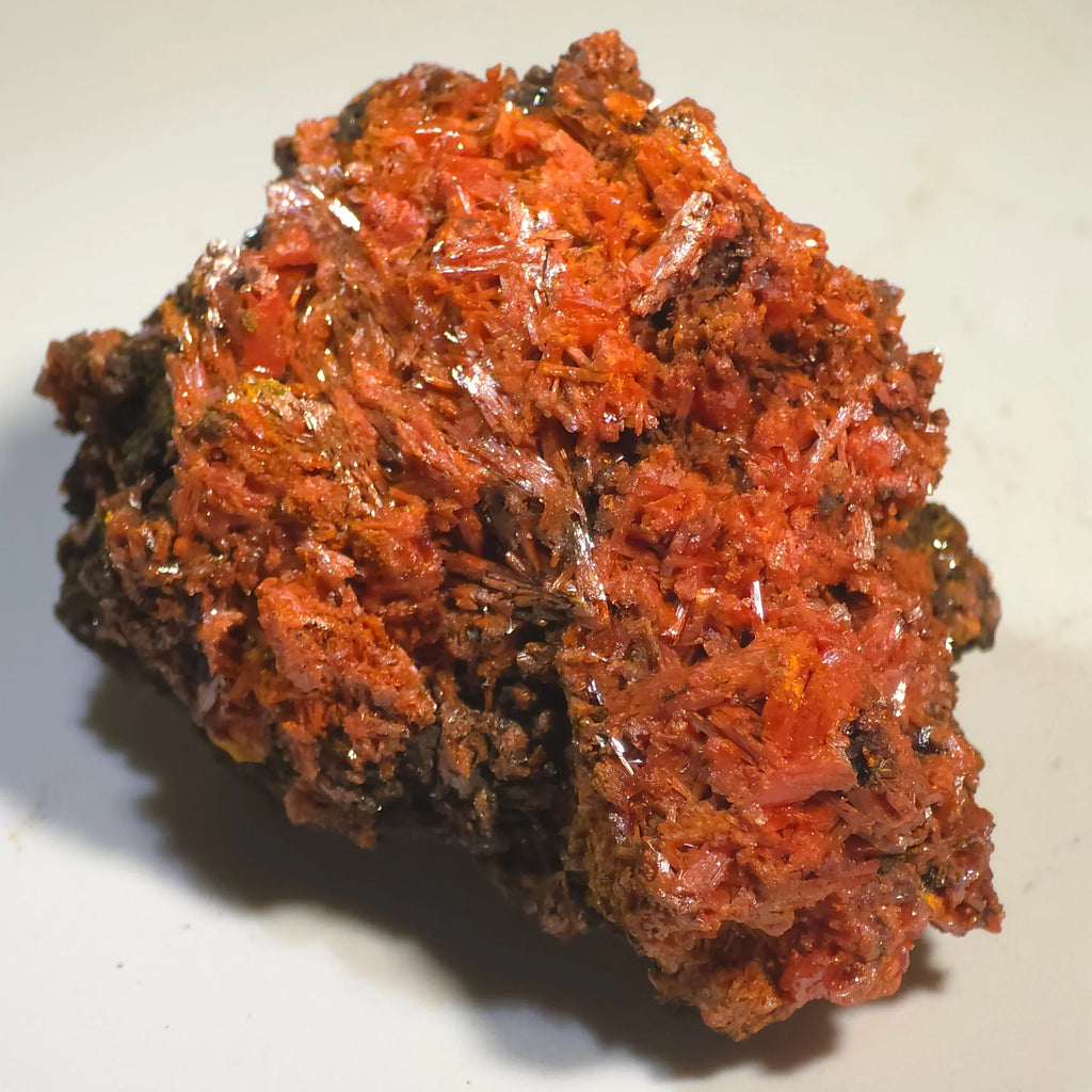 Crocoidite mineral specimen with vibrant red-orange needle-like crystals on dark matrix, classic locality specimen