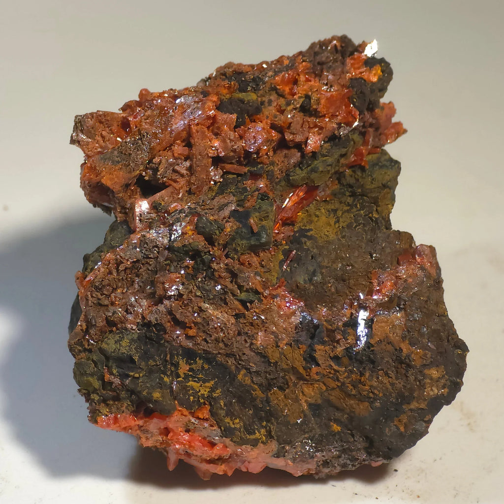 Cinnabar mineral specimen with vibrant red crystals on dark matrix, classic locality specimen for collectors