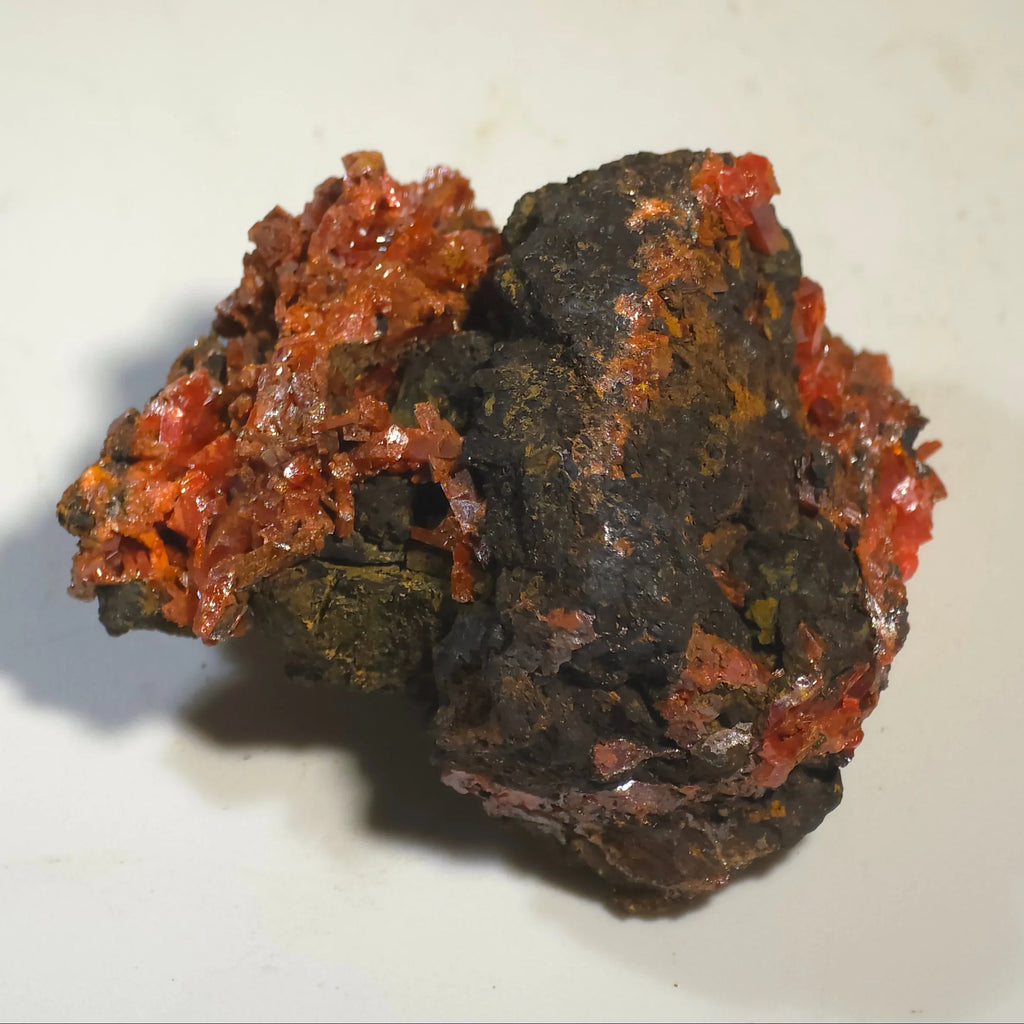Cinnabar mineral specimen with vibrant red crystals on dark matrix, classic locality specimen for collectors