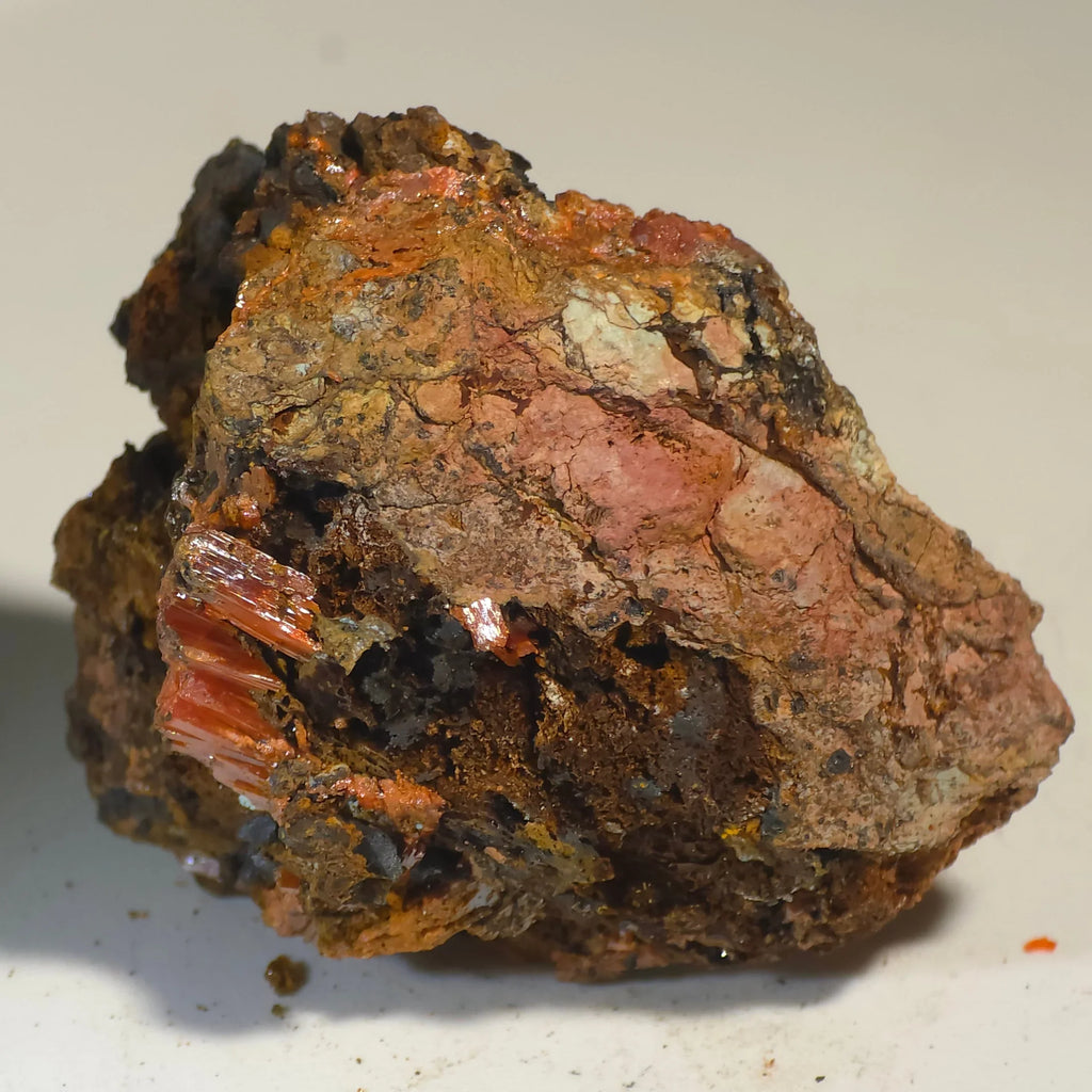 Cuprite mineral specimen with vibrant red crystals on matrix, classic locality find for collectors