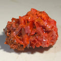 Crocoidite mineral specimen with vibrant red-orange crystals, classic locality specimen for collectors