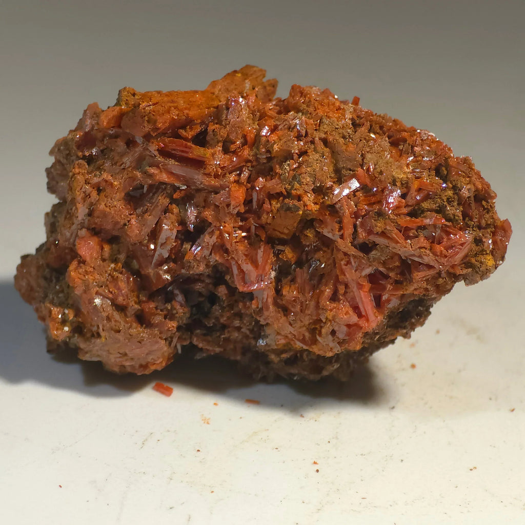 Crocoidite mineral specimen with vibrant red-orange crystals on matrix, from classic locality