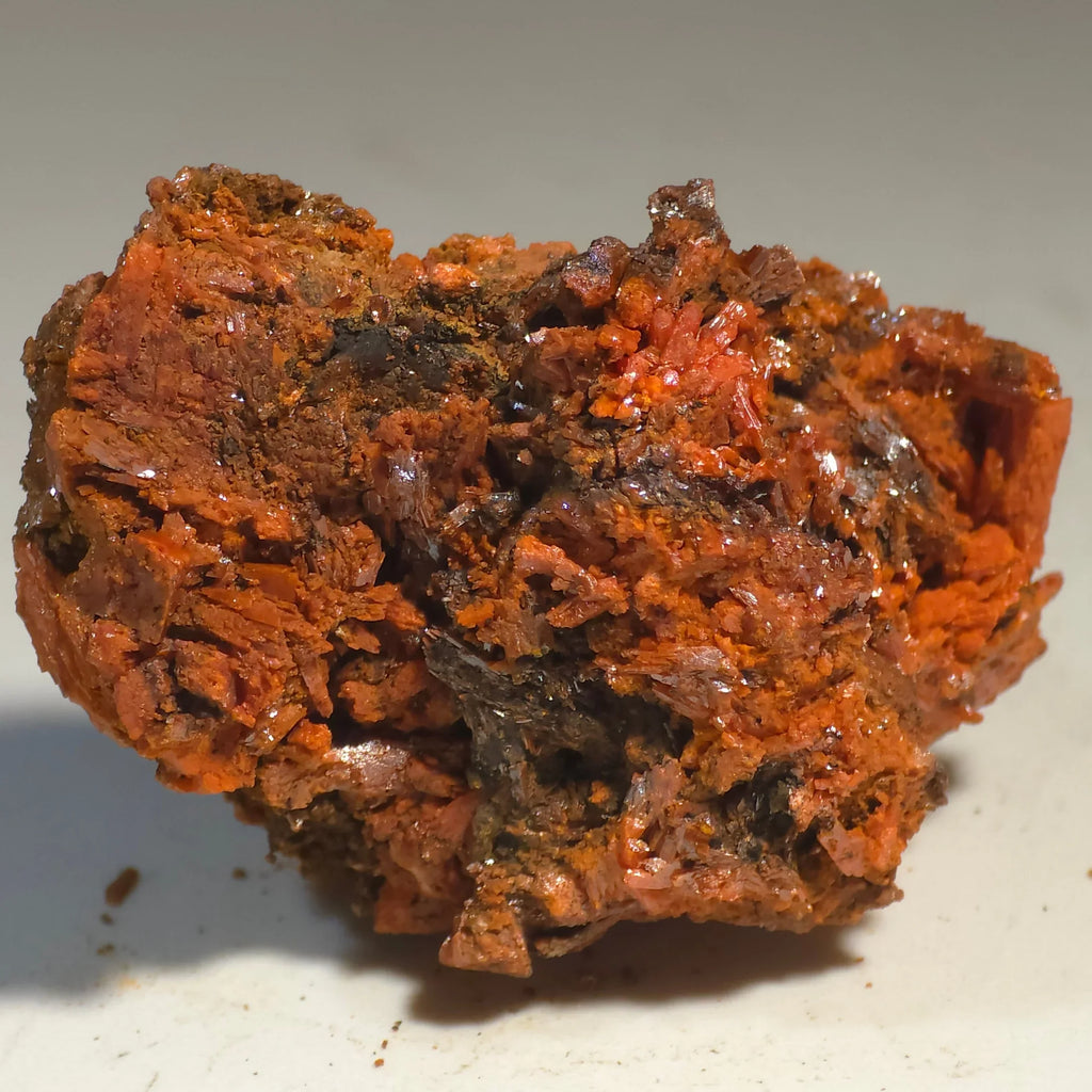 Cinnabar mineral specimen with vibrant red crystals on matrix, classic locality specimen for collectors