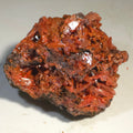 crocoite-2393-52 - Crystals2Collect