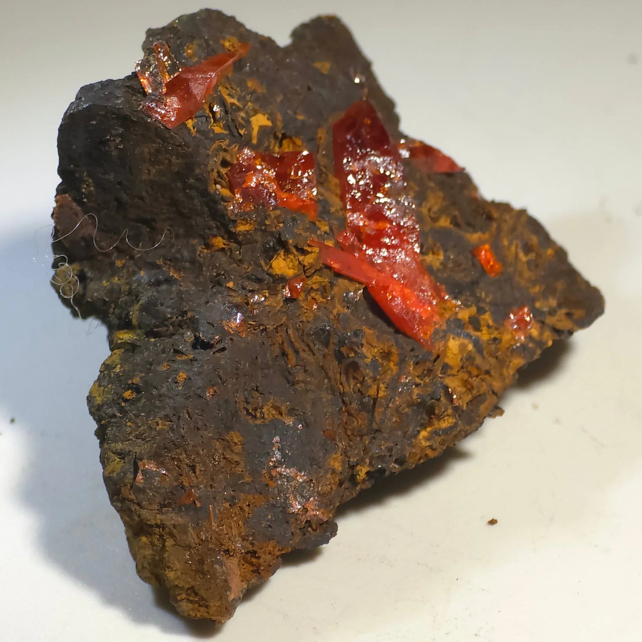 crocoite-2395-52 - Crystals2Collect