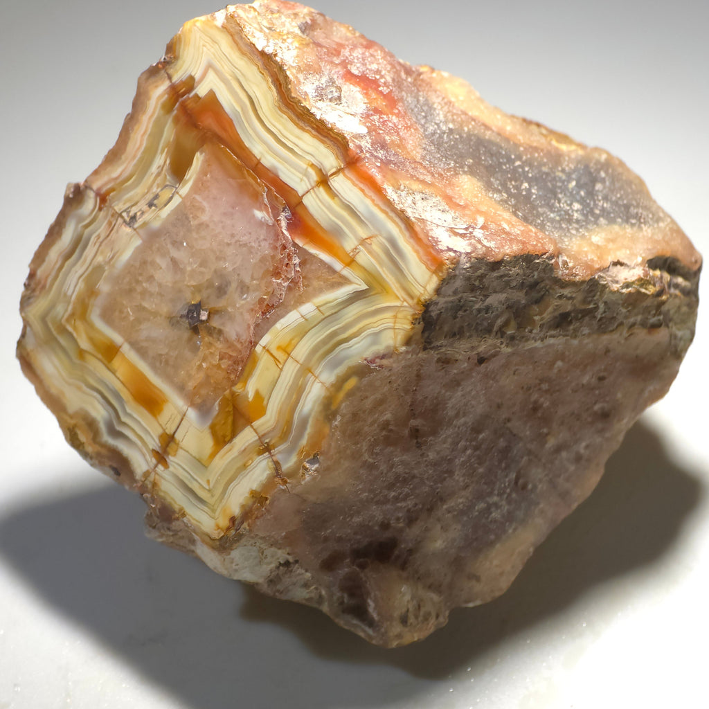 Agate d'Agate Creek, Australie (petite vitrine), Agate Creek, au sud de Forsayth, dans le nord du Queensland, Australie