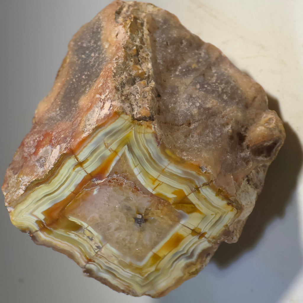 Agate d'Agate Creek, Australie (petite vitrine), Agate Creek, au sud de Forsayth, dans le nord du Queensland, Australie