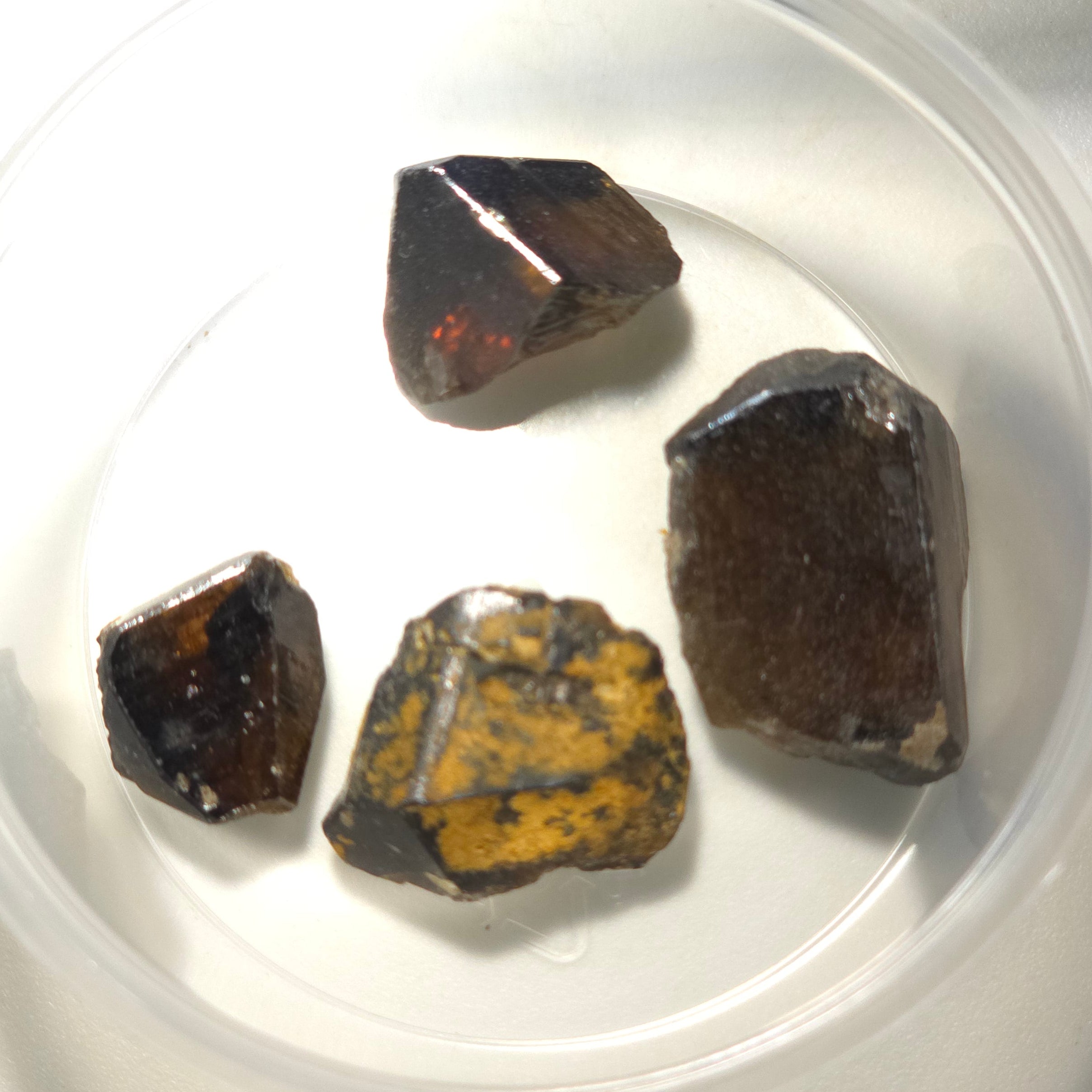 Cristaux de cassitérite à collectionner ou à tailler (lot de 4 cristaux), mine de Kara, Tasmanie