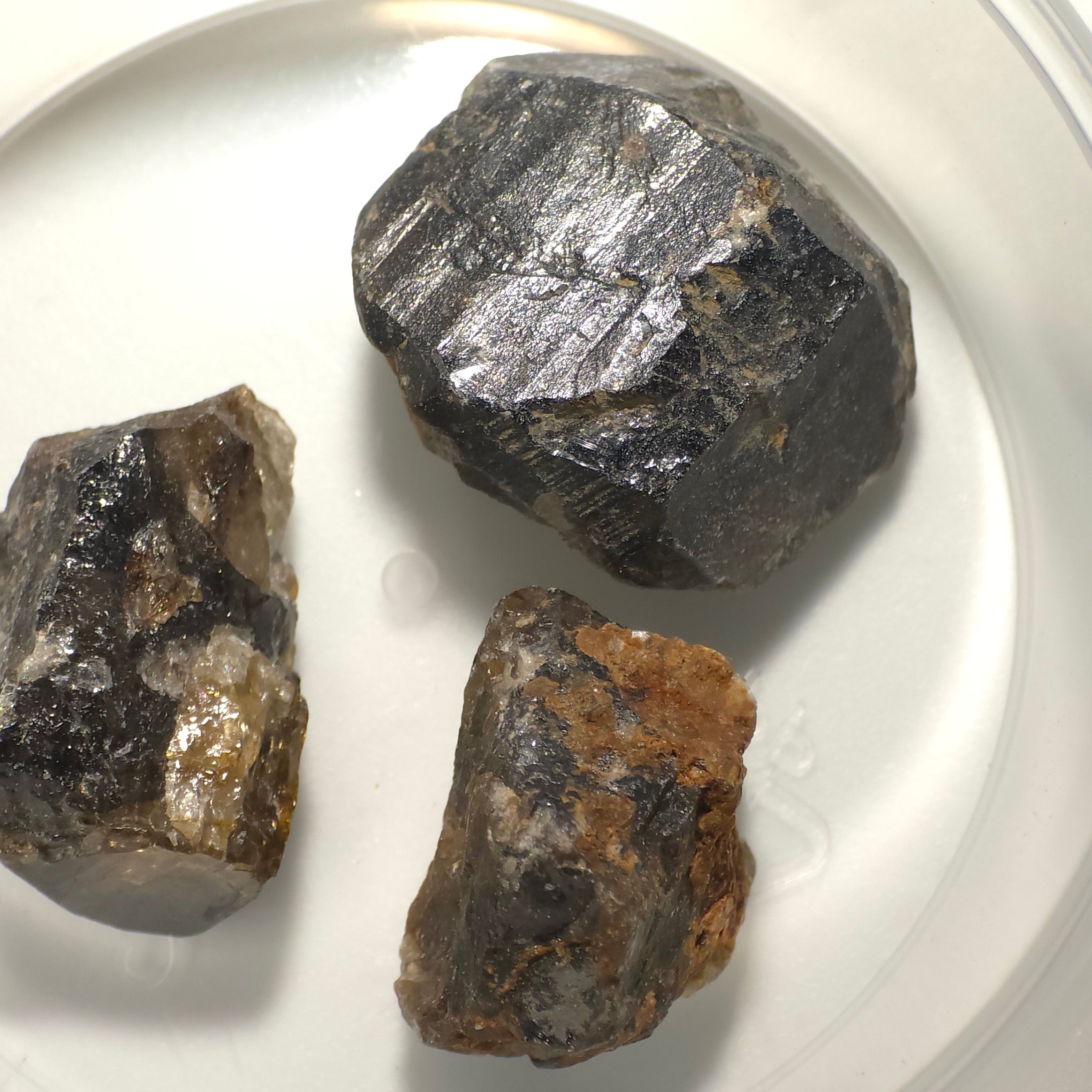 Cristaux de cassitérite à collectionner ou à tailler (lot de 3 cristaux), mine de Kara, Tasmanie