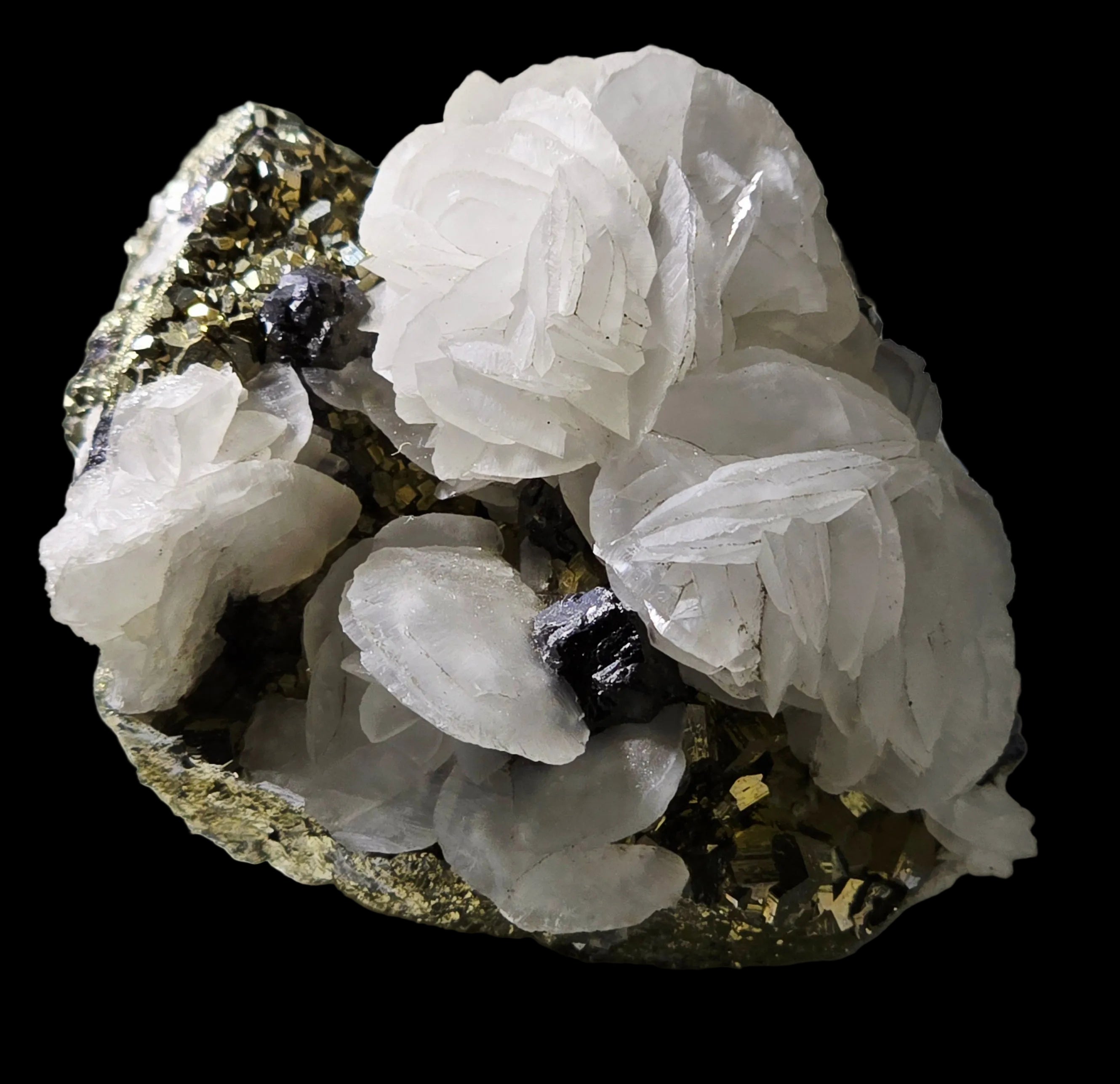 Calcite sur pyrite, mine Renison Bell, Tasmanie