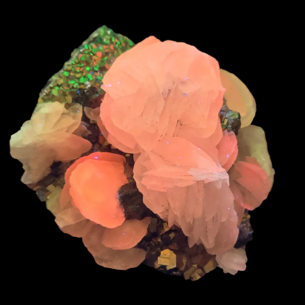 CALCITE on PYRITE, Renison Bell Mine TASMANIA