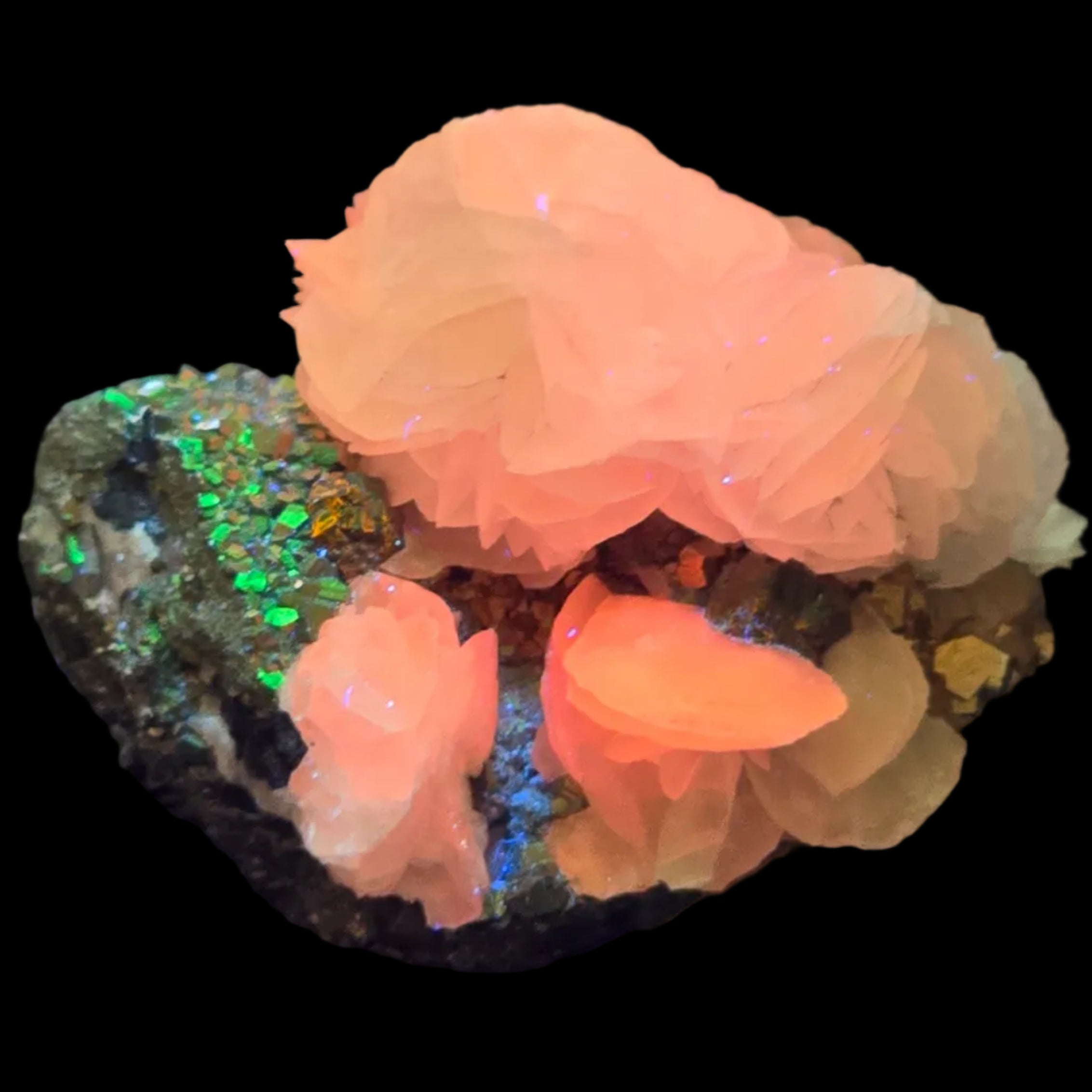 Calcite sur pyrite, mine Renison Bell, Tasmanie