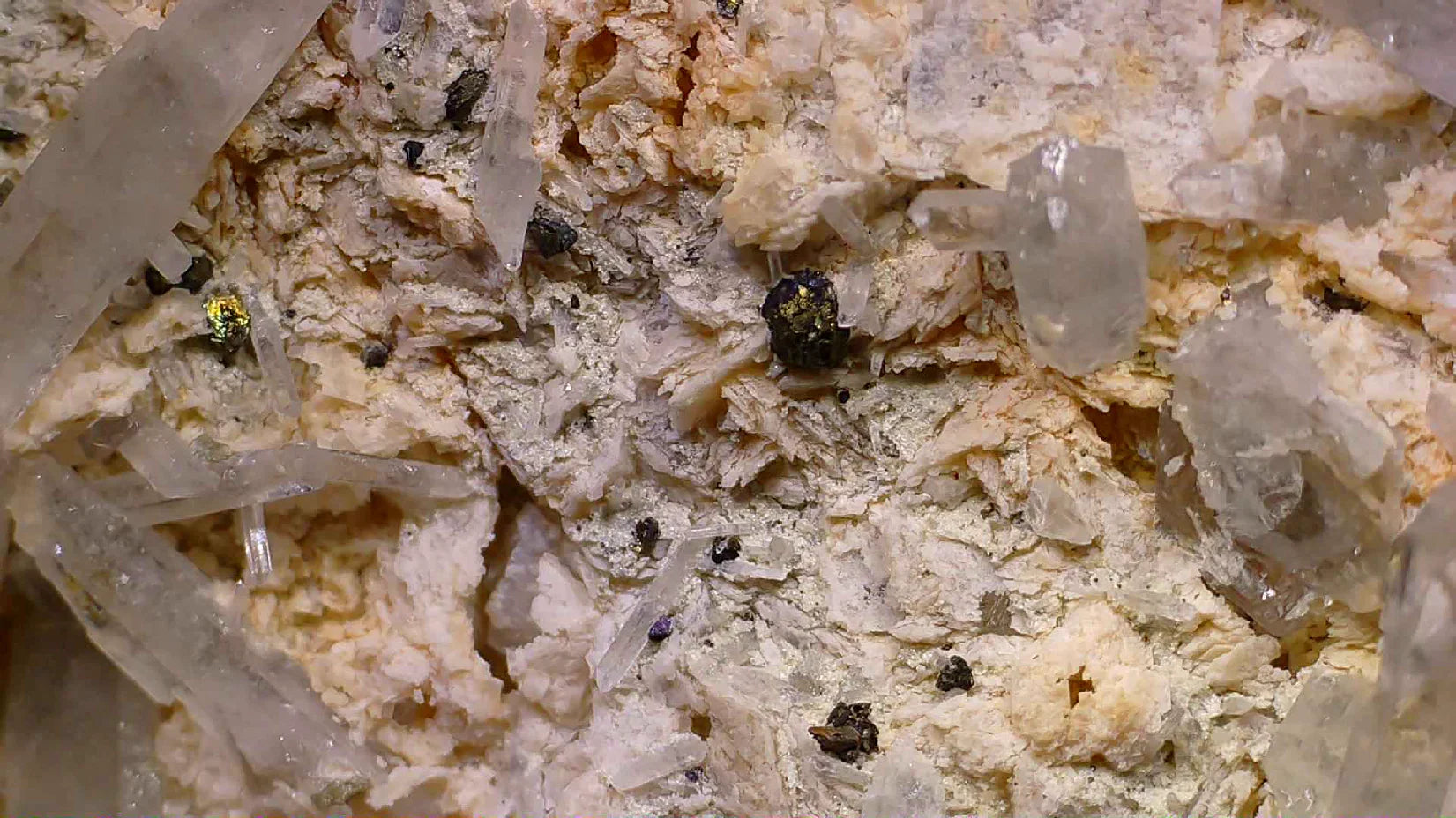 Pyrite on Quartz matrix, classic mineral specimen with golden cubic crystals and clear quartz