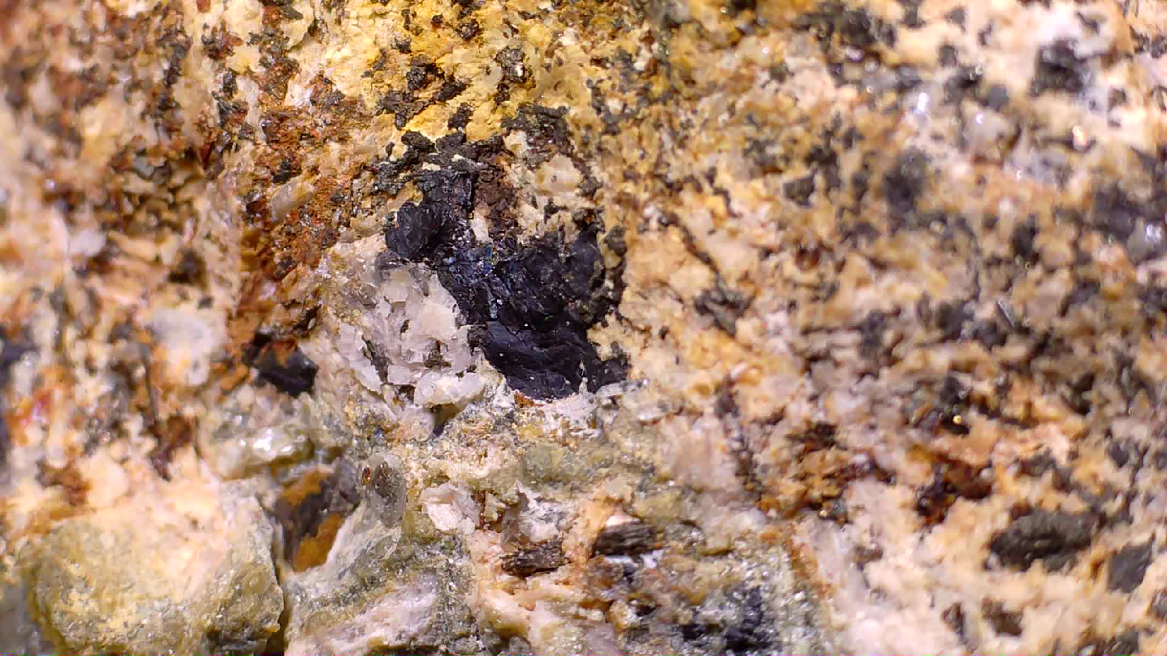 quartz-pyrite-pyrrhotite-2356-51 - Crystals2Collect