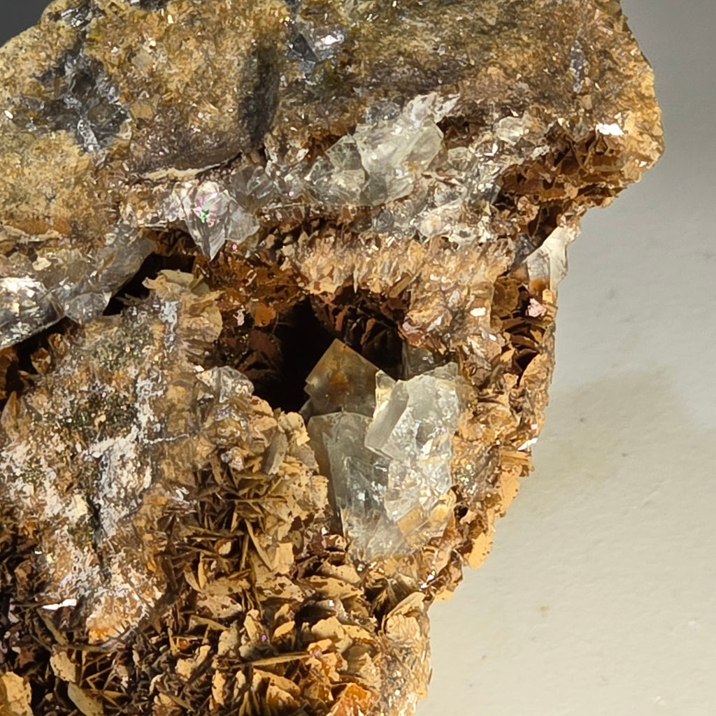 FLUORITE sur MAGNÉSITE, mine d'étain du mont Bischoff, Waratah, Tasmanie (petite vitrine)