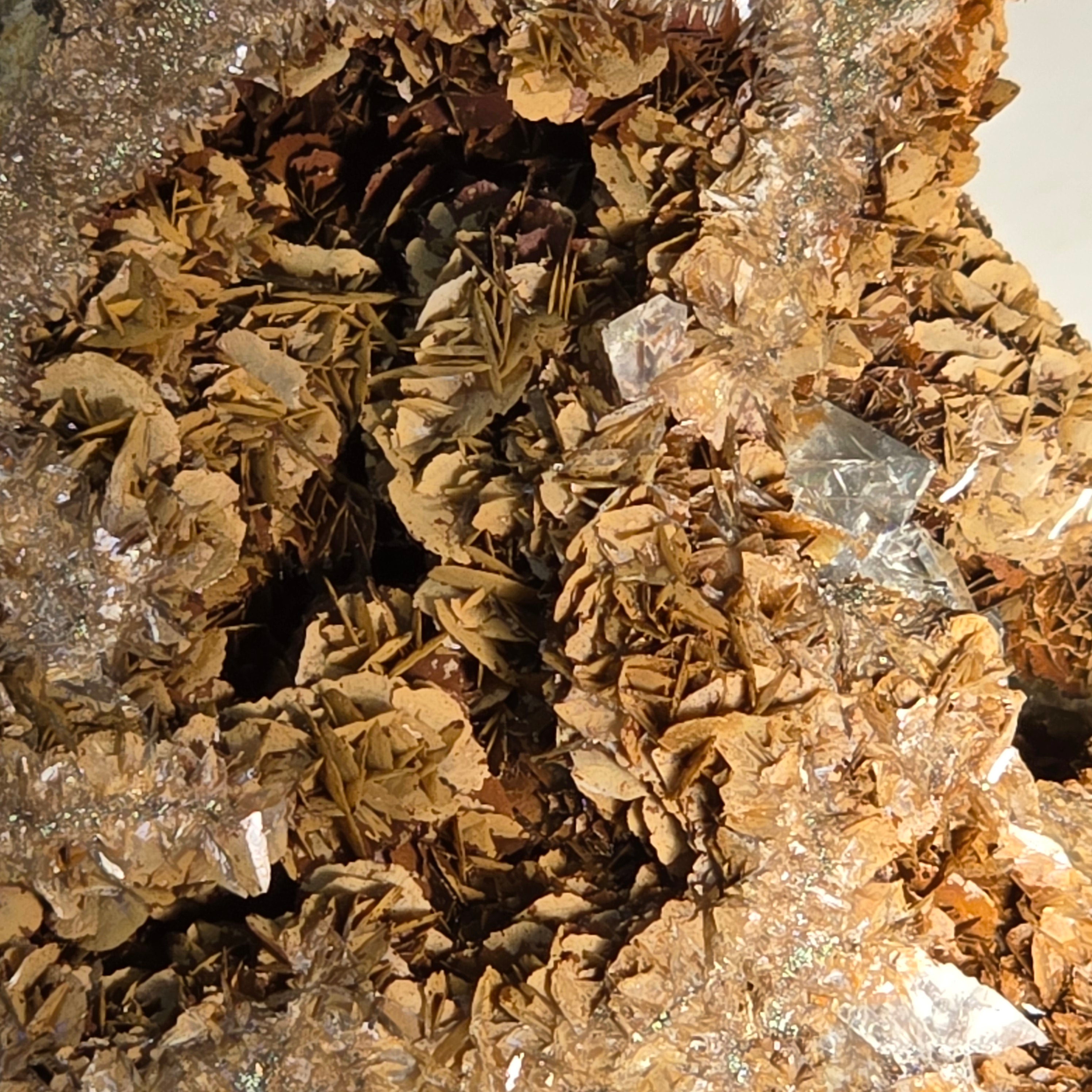 FLUORITE sur MAGNÉSITE, mine d'étain du mont Bischoff, Waratah, Tasmanie (petite vitrine)