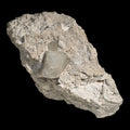 Calcite crystal specimen from classic locality, showcasing natural mineral formation and geological texture