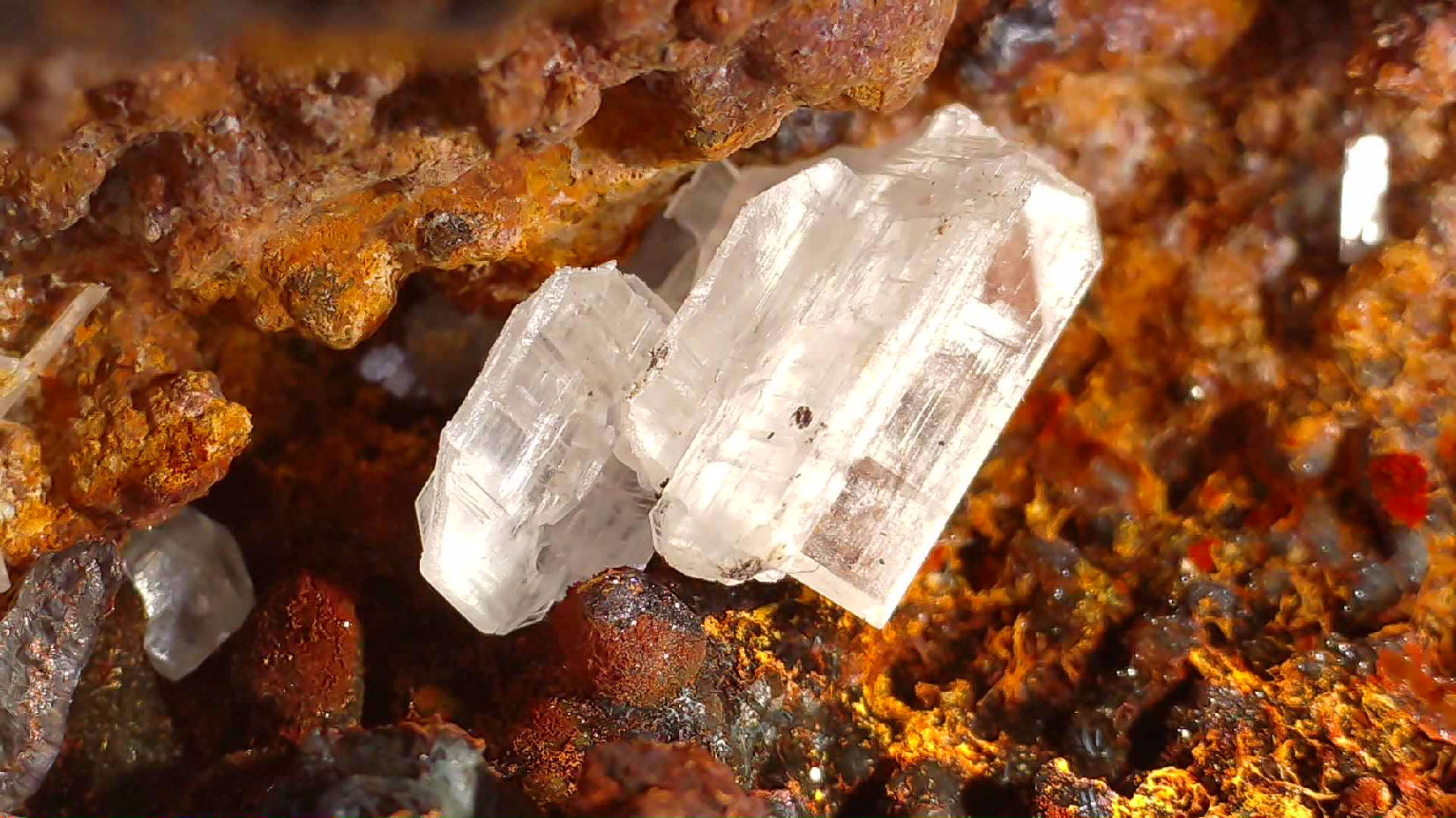 CERUSSITE dans GOETHITE vug, mine d'aimant près de WARATAH TASMANIE