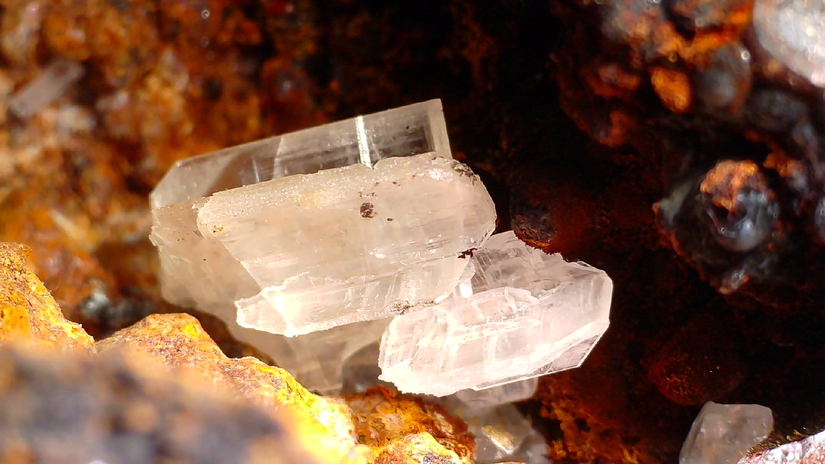 CERUSSITE in GOETHITE vug, Magnet Mine near WARATAH TASMANIA