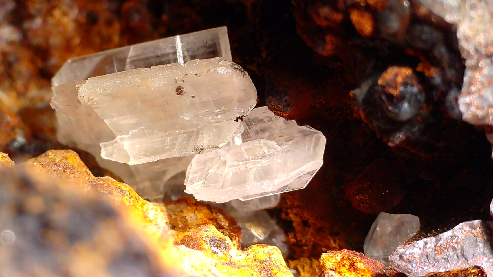 CERUSSITE dans GOETHITE vug, mine d'aimant près de WARATAH TASMANIE