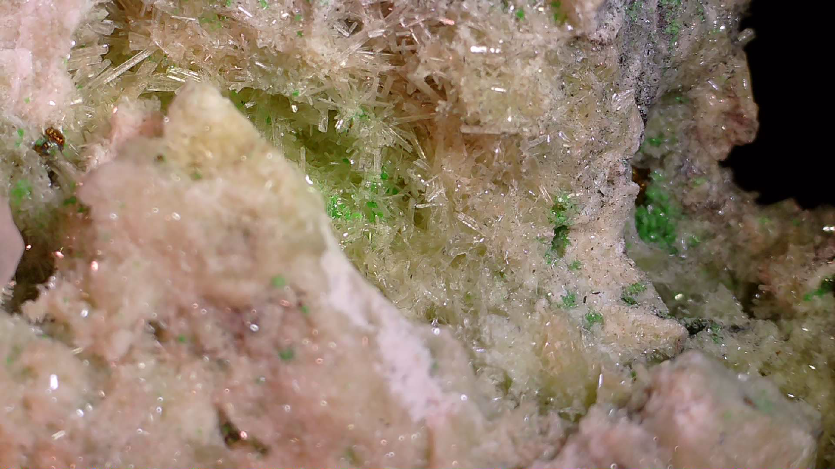 APOPHILLITE on BRUCITE, Avebury Mine Zeehan Dundas Tasmania (small cabinet)